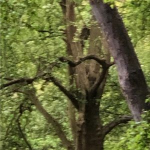 Meet your Posher, Evelyn